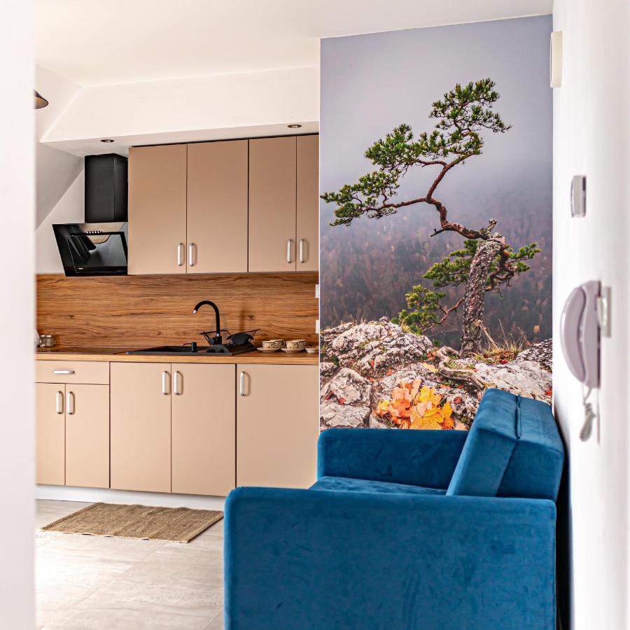 Velo Apartamenty Czorsztyn Luaran gambar